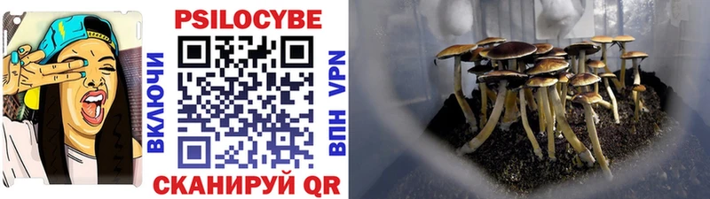 Галлюциногенные грибы Psilocybine cubensis  Райчихинск 
